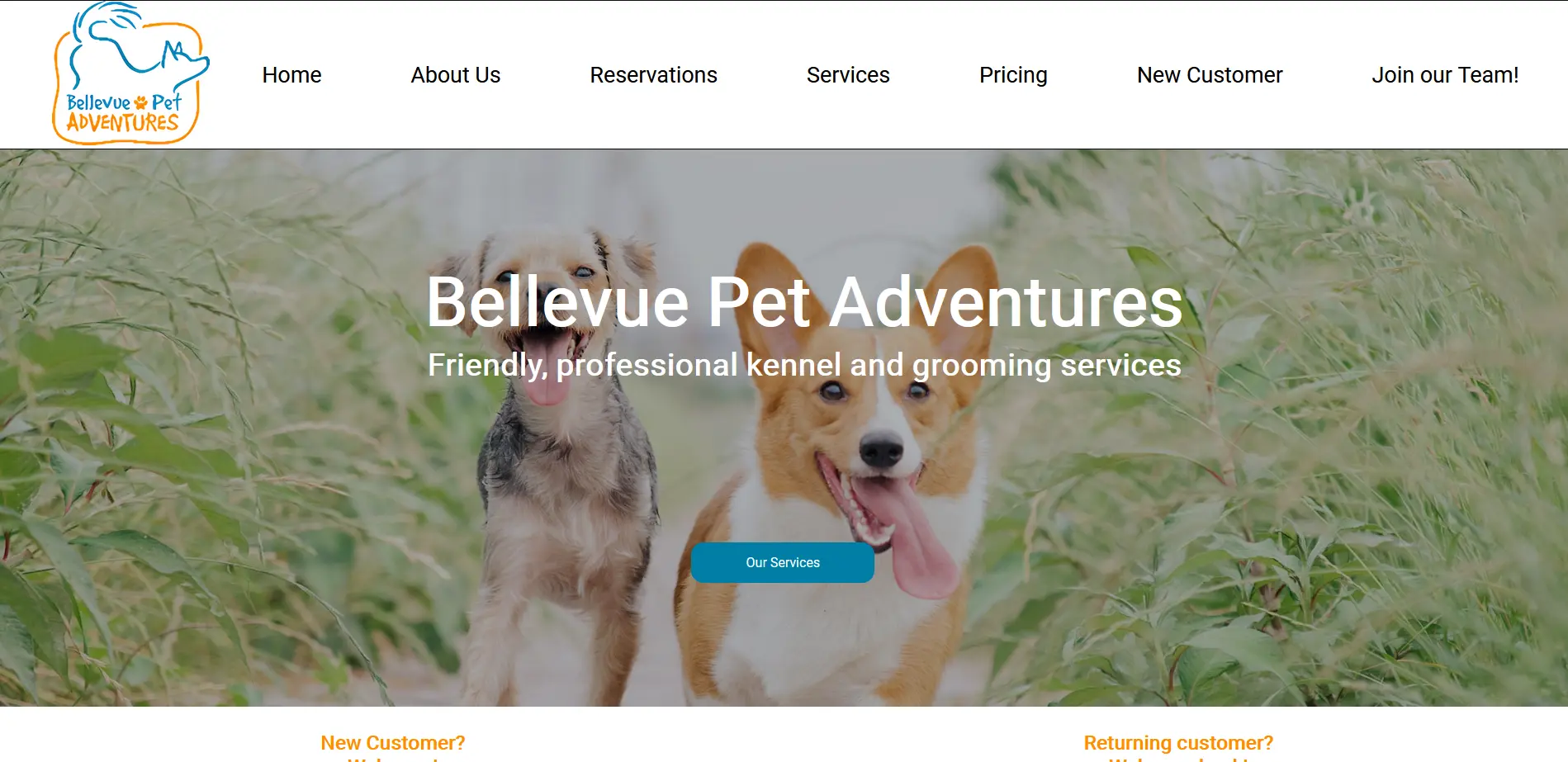 Bellevue Pet Adventures Website